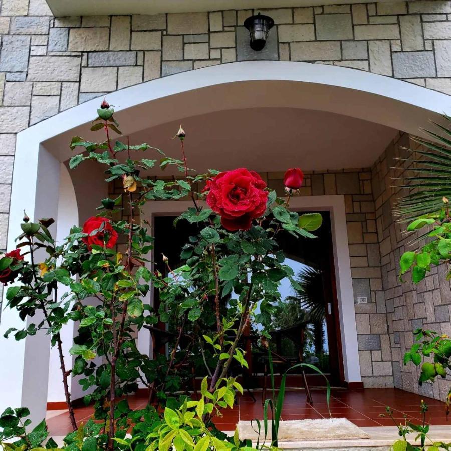Kristiano 21 Country house *